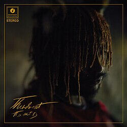 It Is What It Is Thundercat